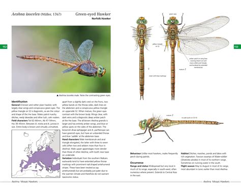 Field guide to the dragonflies of britain and europe. - Kenmore 253 70101 air conditioner manual.